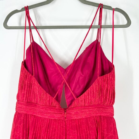 Amur Dominique Tiered Pleated Lace Print Maxi Dress in Raspberry Rose - Picture 5 of 11